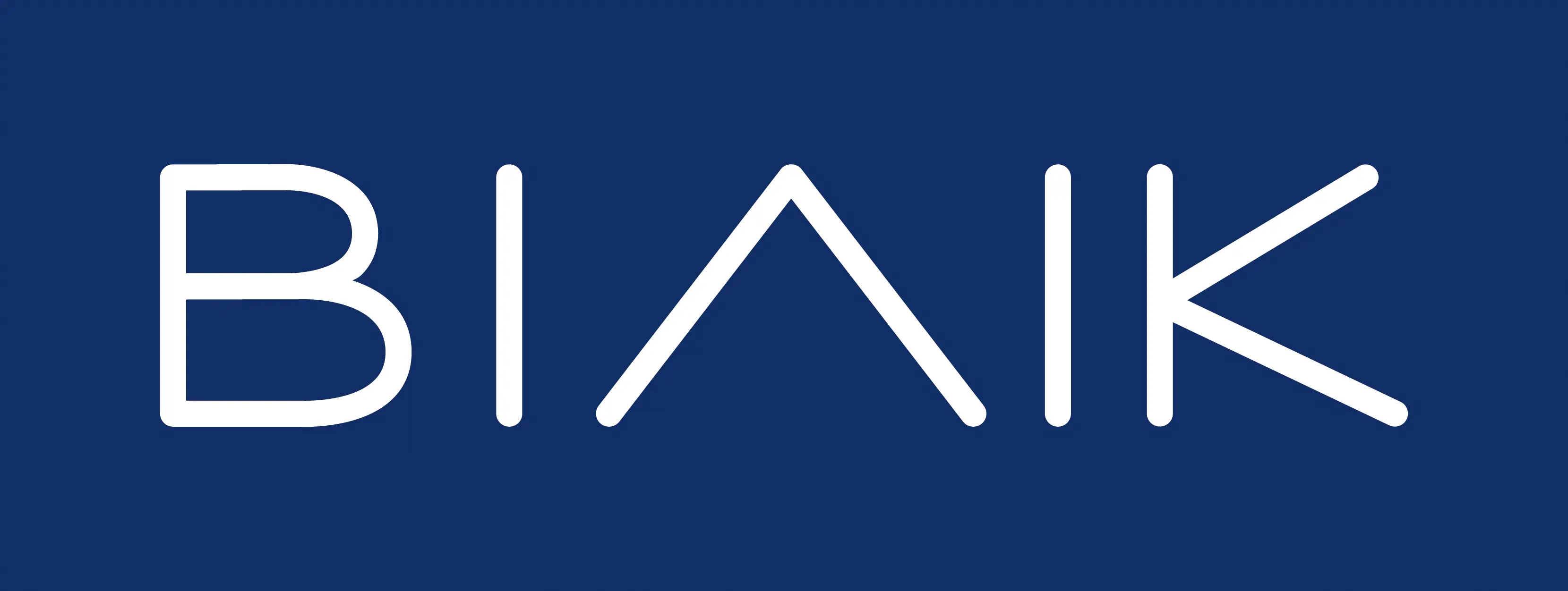 Biaik Biuro Analiz i Kartografii